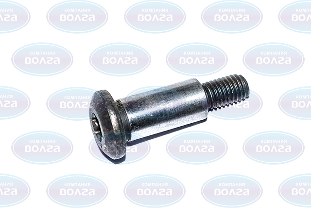 Болт M8/12*1,25*36 башмака,рычага натяжителя цепи 406,514 (ЗМЗ) н/о TORX Болт M8/12*1,25*36 башмака,рычага натяжителя цепи 406,514 (ЗМЗ) н/о TORX